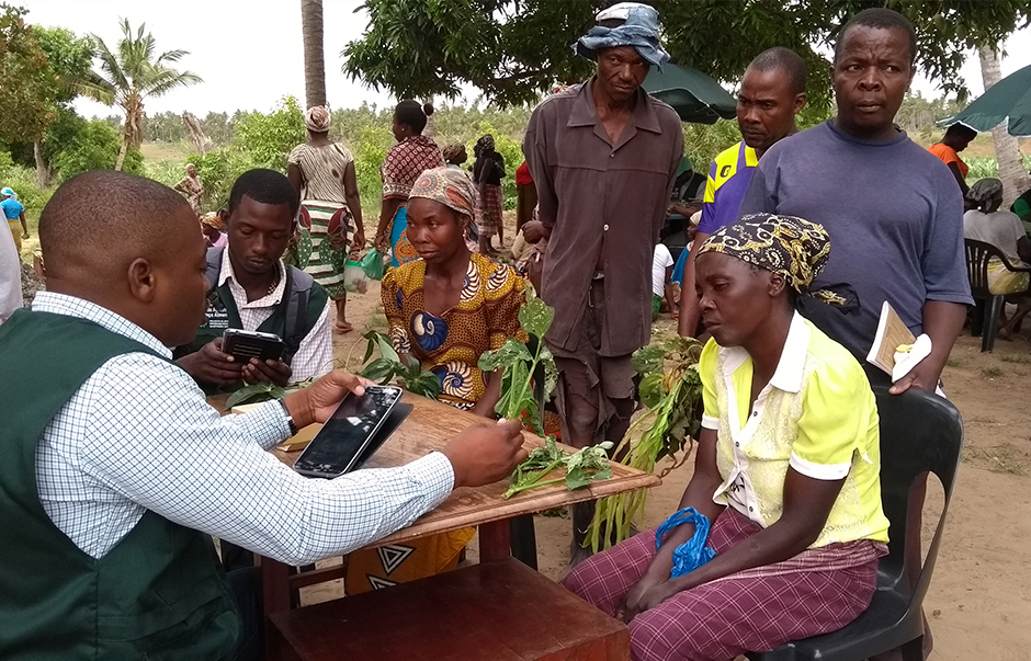 CTA-impact Farmers attending a plant clinic in Africa